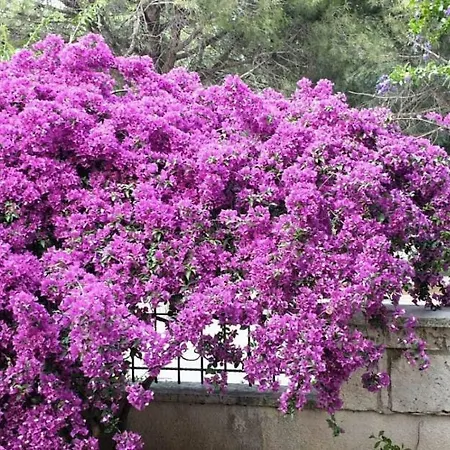 Villa Vi̇lla Alaçatı